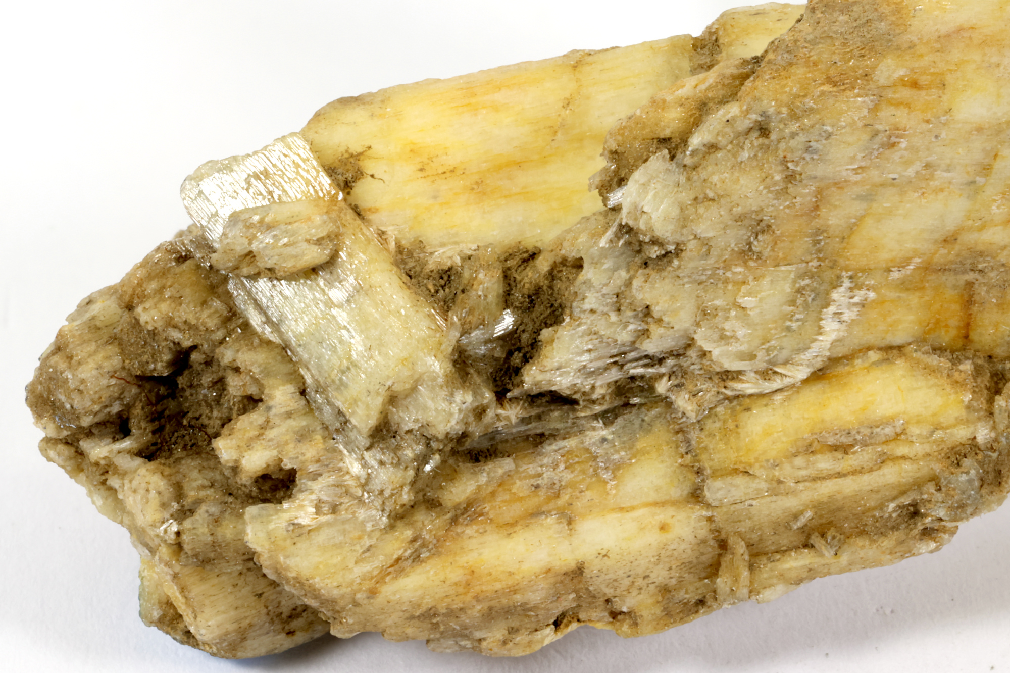 Trémolite Pseudomorphose de diopside en trémolite    