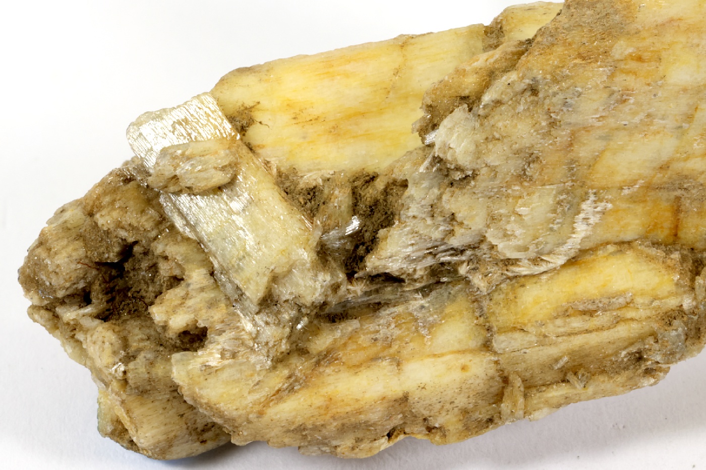 Trémolite Pseudomorphose de diopside en trémolite