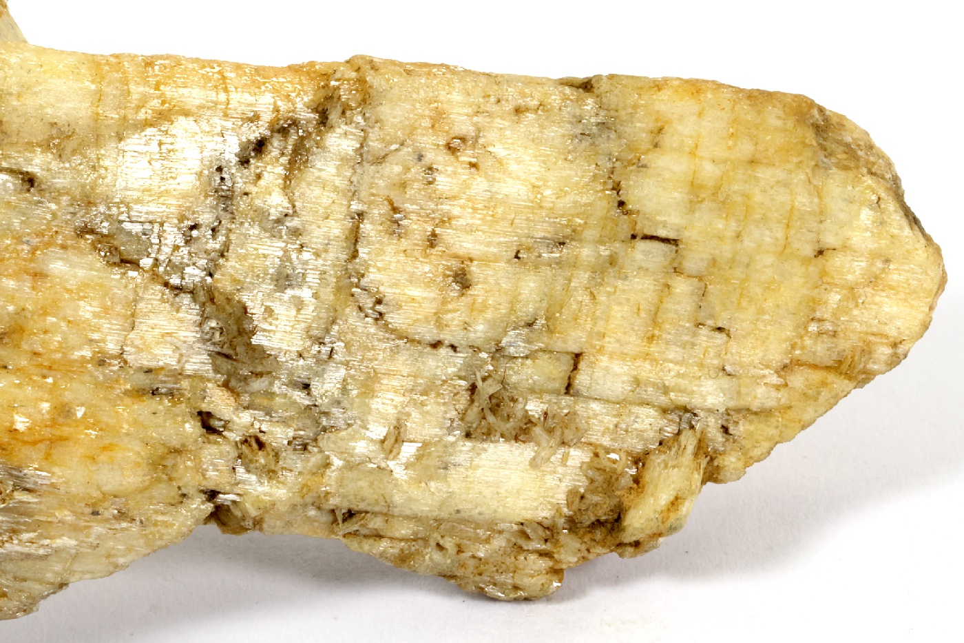 Trémolite Pseudomorphose de diopside en trémolite