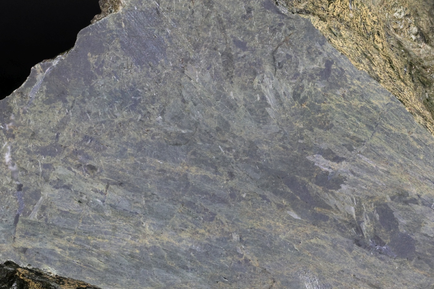 Hédenbergite Hédenbergite Archipel toscan Ile d’Elbe