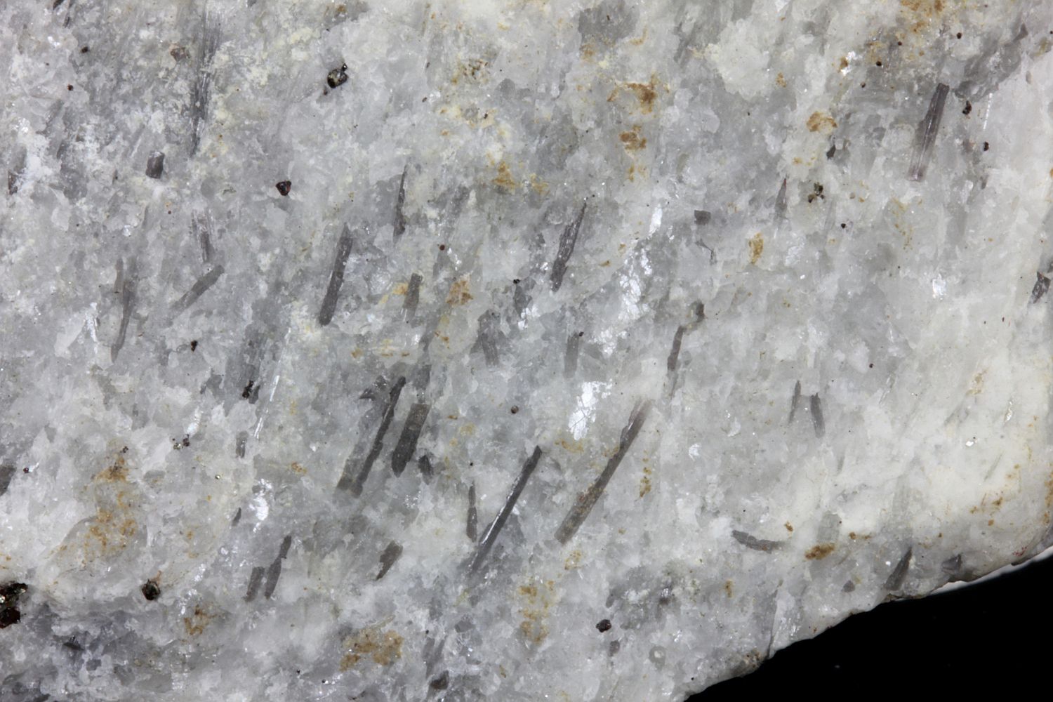 Marbre à scapolite Calcaire métamorphique à dipyre Pyrénées  Suc-et-Sentenac 