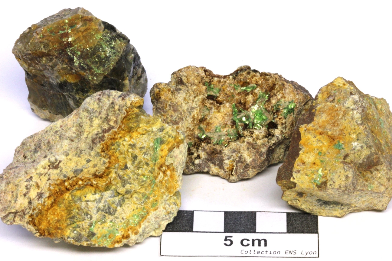 Torbernite Torbernite Massif central  Saint-Priest-la-Prugne Bois des Vernois