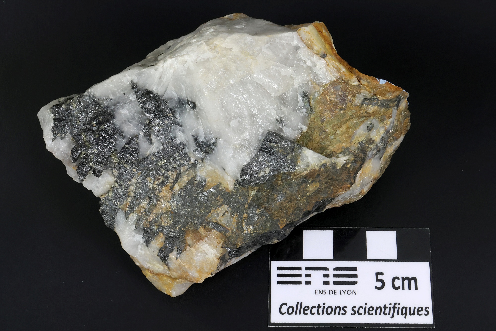 Wolframite et quartz Wolframite et quartz Massif central  Leucamp 