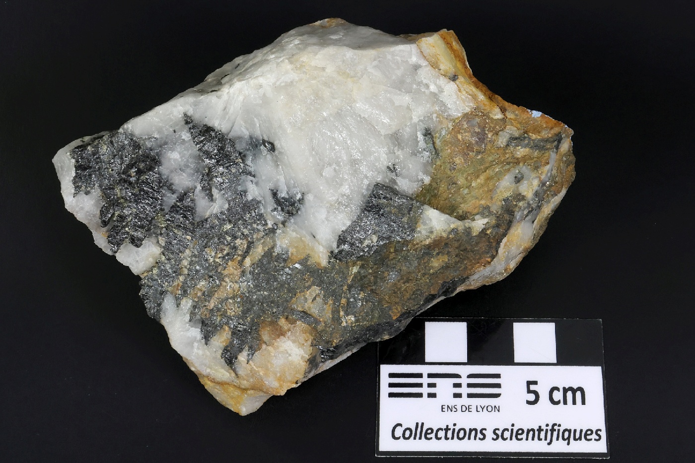 Wolframite et quartz Wolframite et quartz Massif central Leucamp
