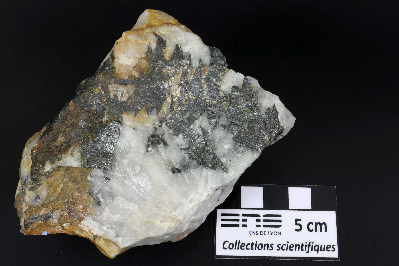 Wolframite et quartz Wolframite et quartz Massif central Leucamp