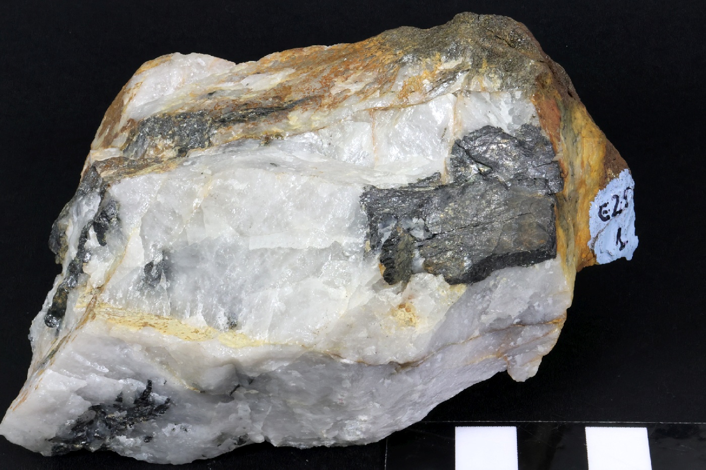 Wolframite et quartz Wolframite et quartz Massif central Leucamp