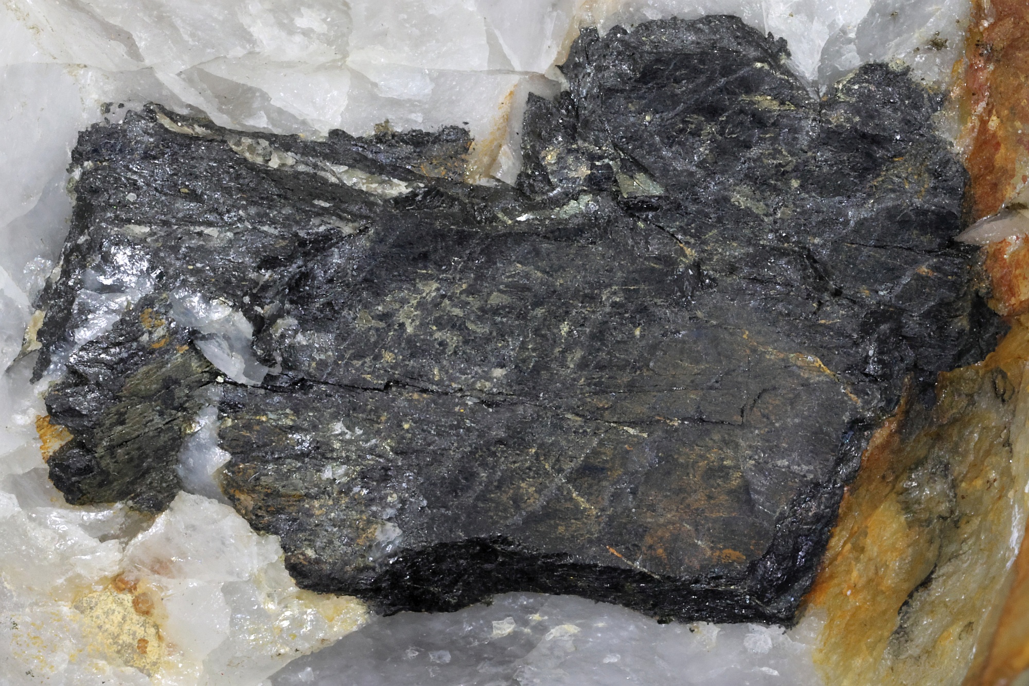 Wolframite et quartz Wolframite et quartz Massif central  Leucamp 