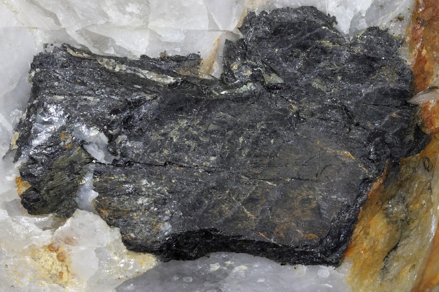 Wolframite et quartz Wolframite et quartz Massif central Leucamp