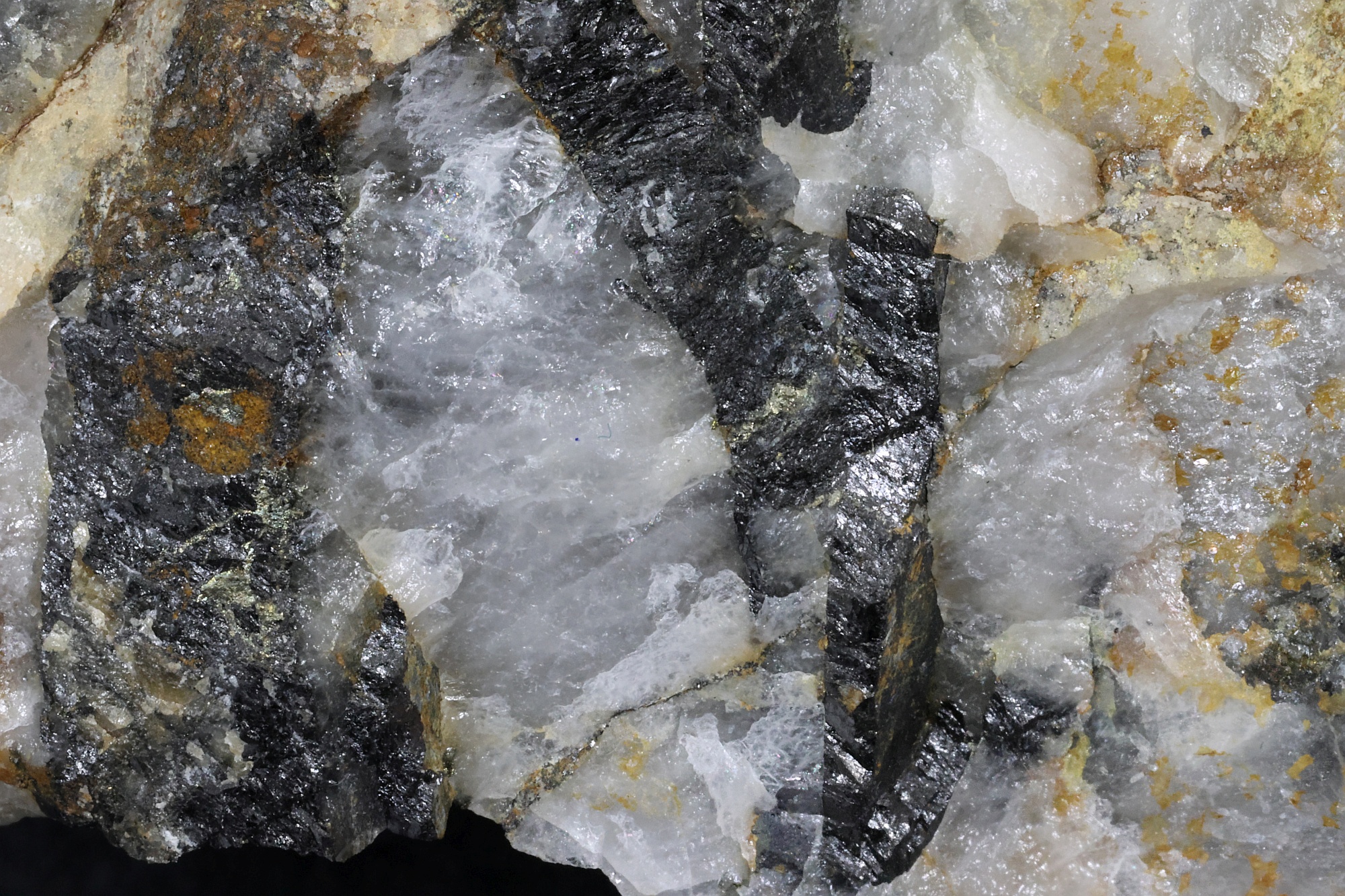 Wolframite et quartz Wolframite et quartz Massif central  Leucamp 