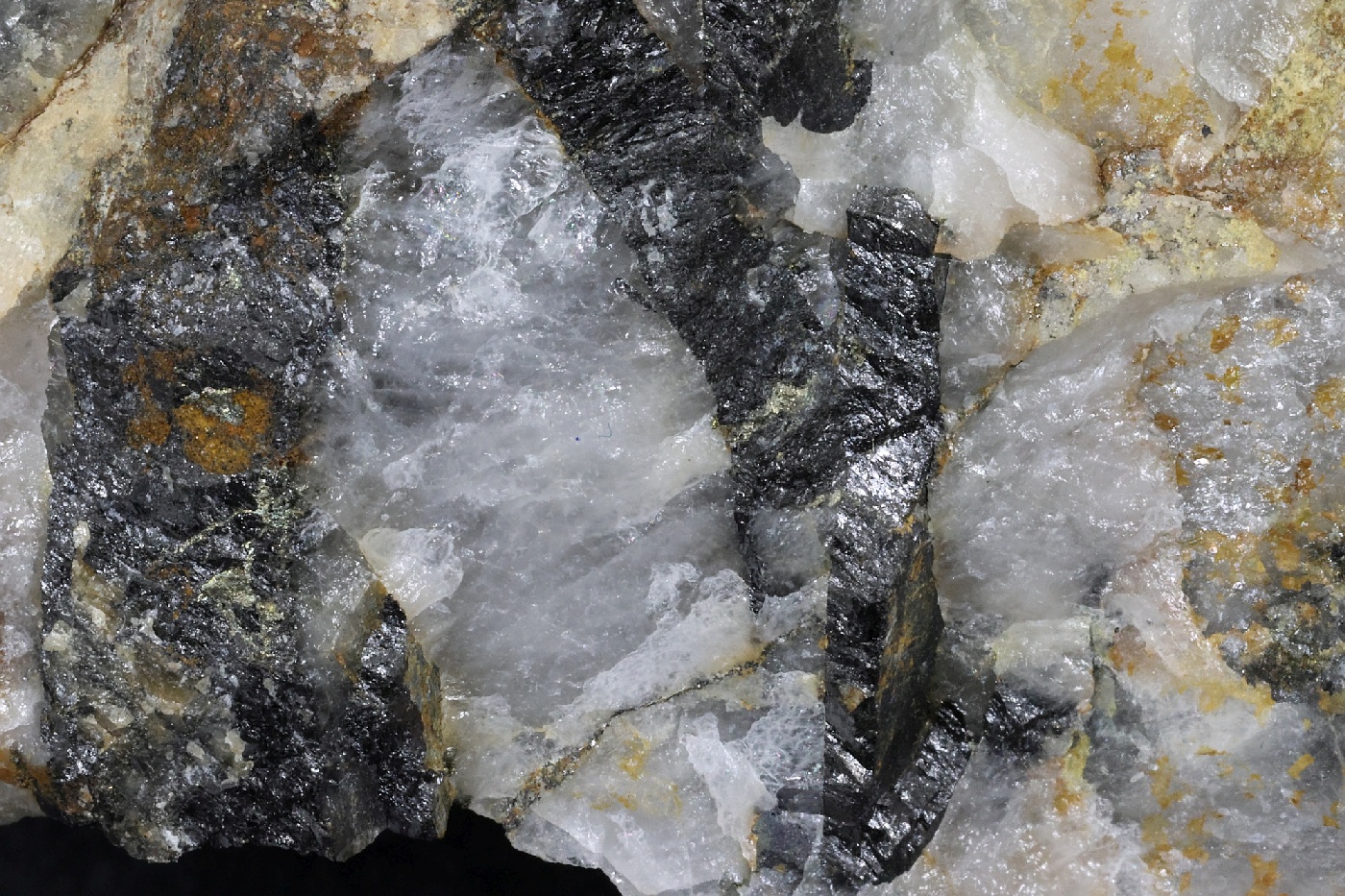 Wolframite et quartz Wolframite et quartz Massif central Leucamp