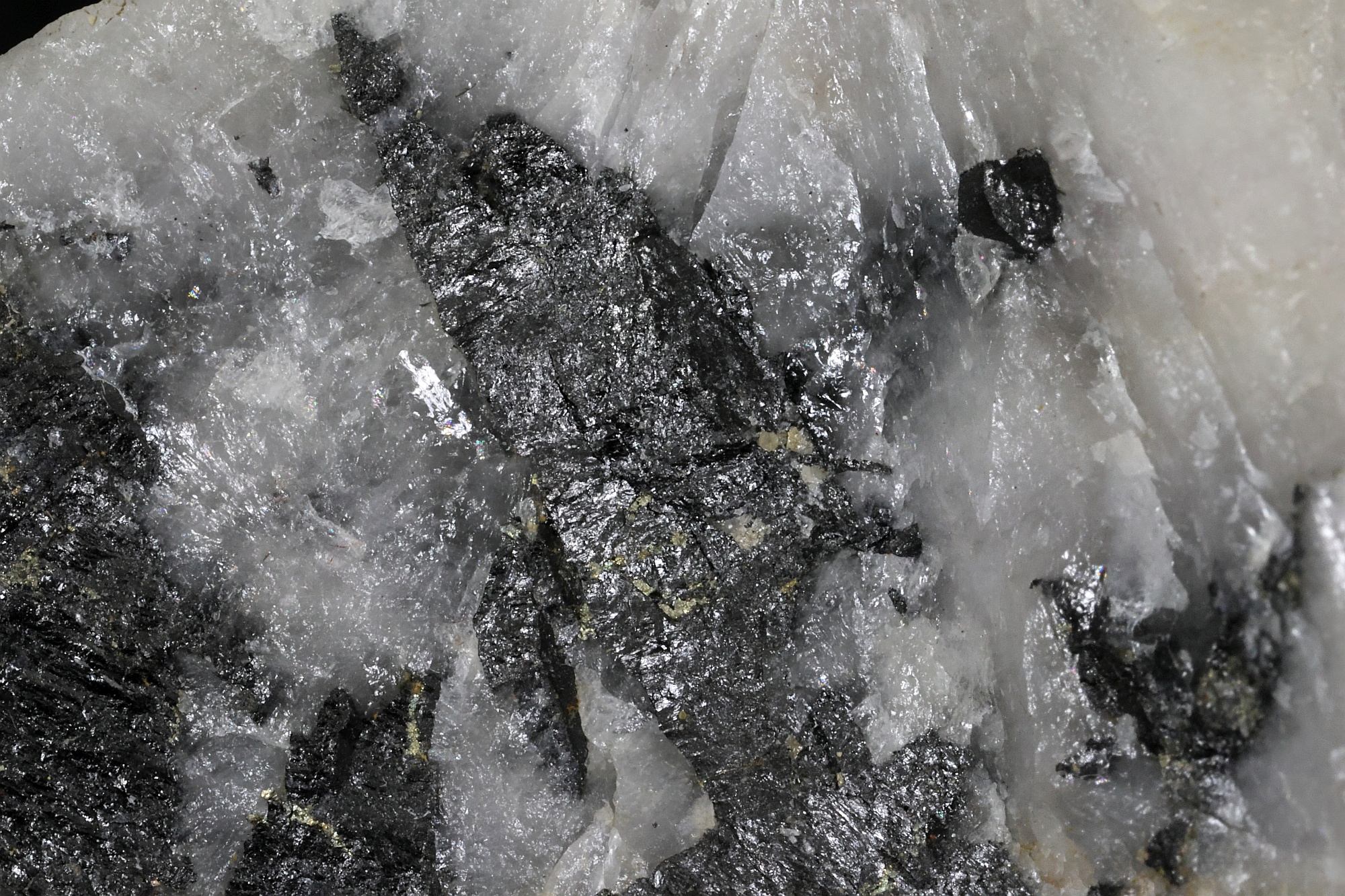 Wolframite et quartz Wolframite et quartz Massif central  Leucamp 
