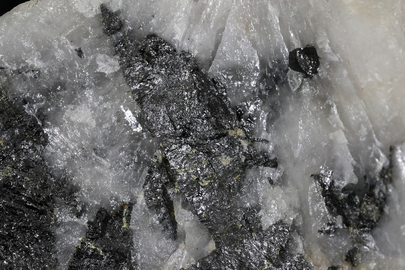 Wolframite et quartz Wolframite et quartz Massif central Leucamp
