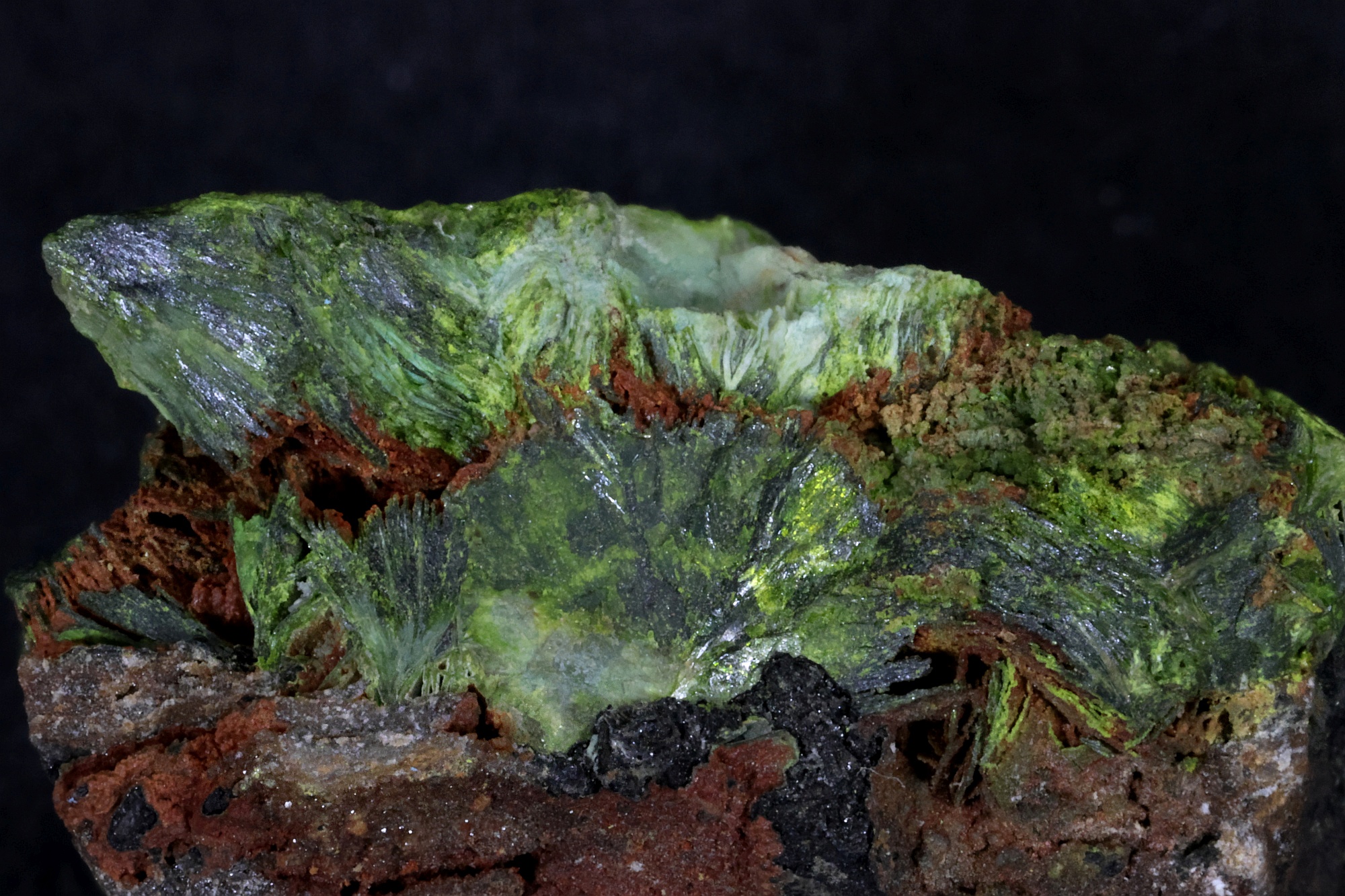 Volborthite Volborthite    