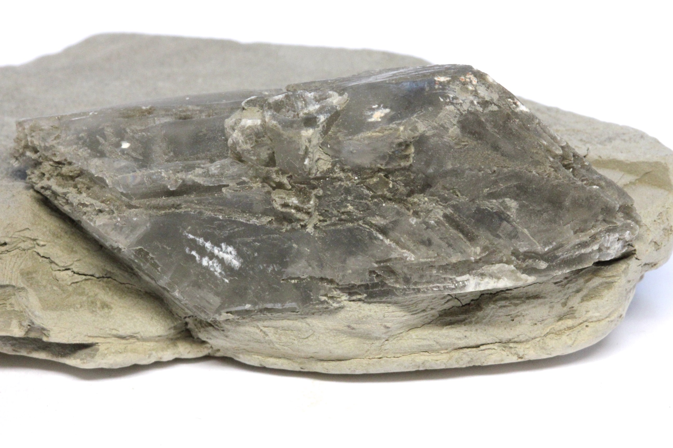 Gypse Cristal de gypse dans une argile pélitique Alpes Lac glaciaire de Trièves Cornillon en Trièves Proximité de Sandon 