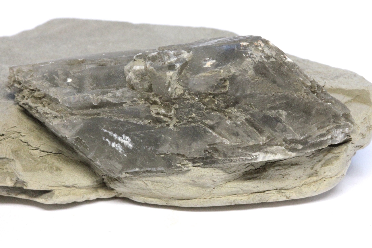 Gypse Cristal de gypse dans une argile pélitique Alpes Lac glaciaire de Trièves Cornillon en Trièves Proximité de Sandon 