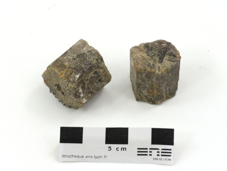 Aragonite Aragonite