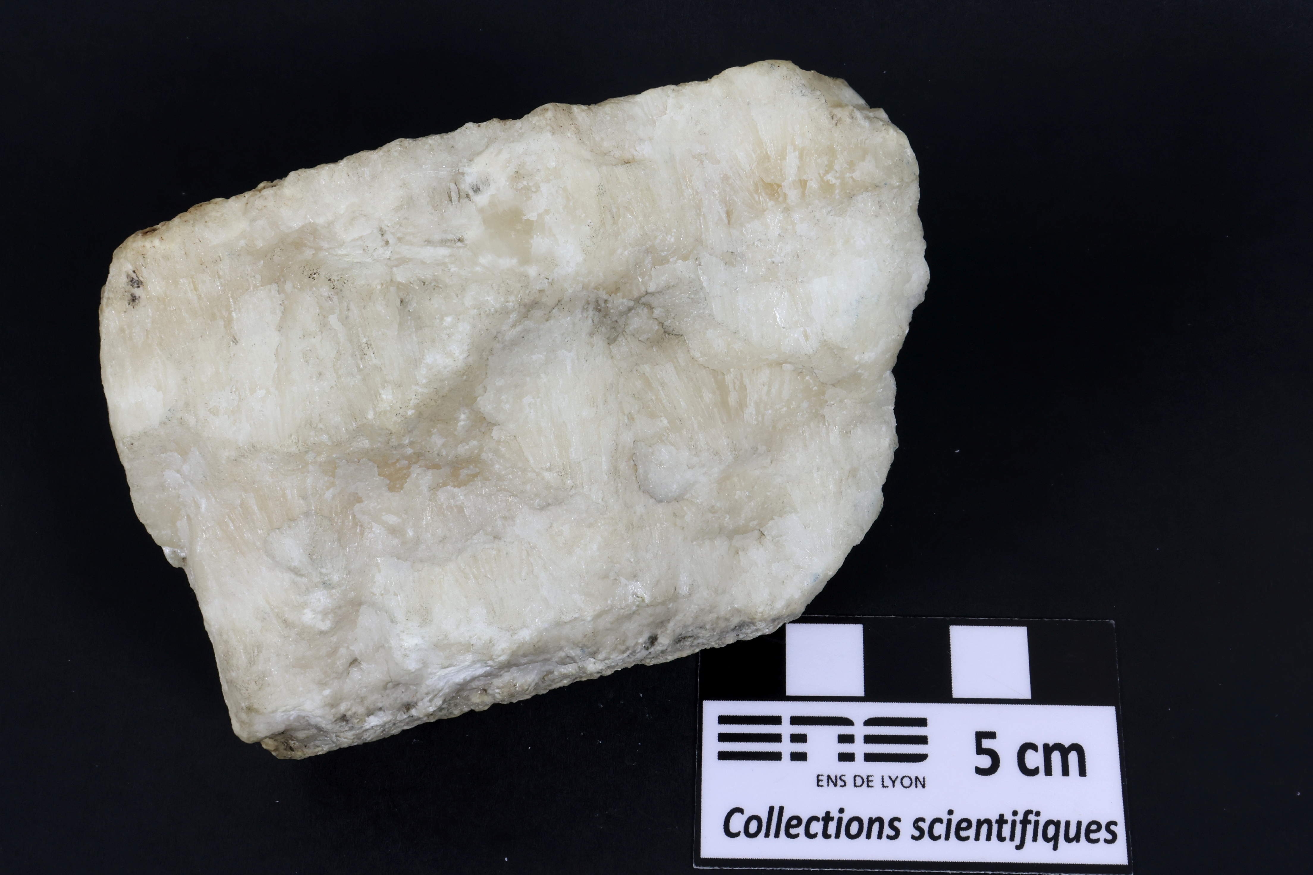 Aragonite Aragonite