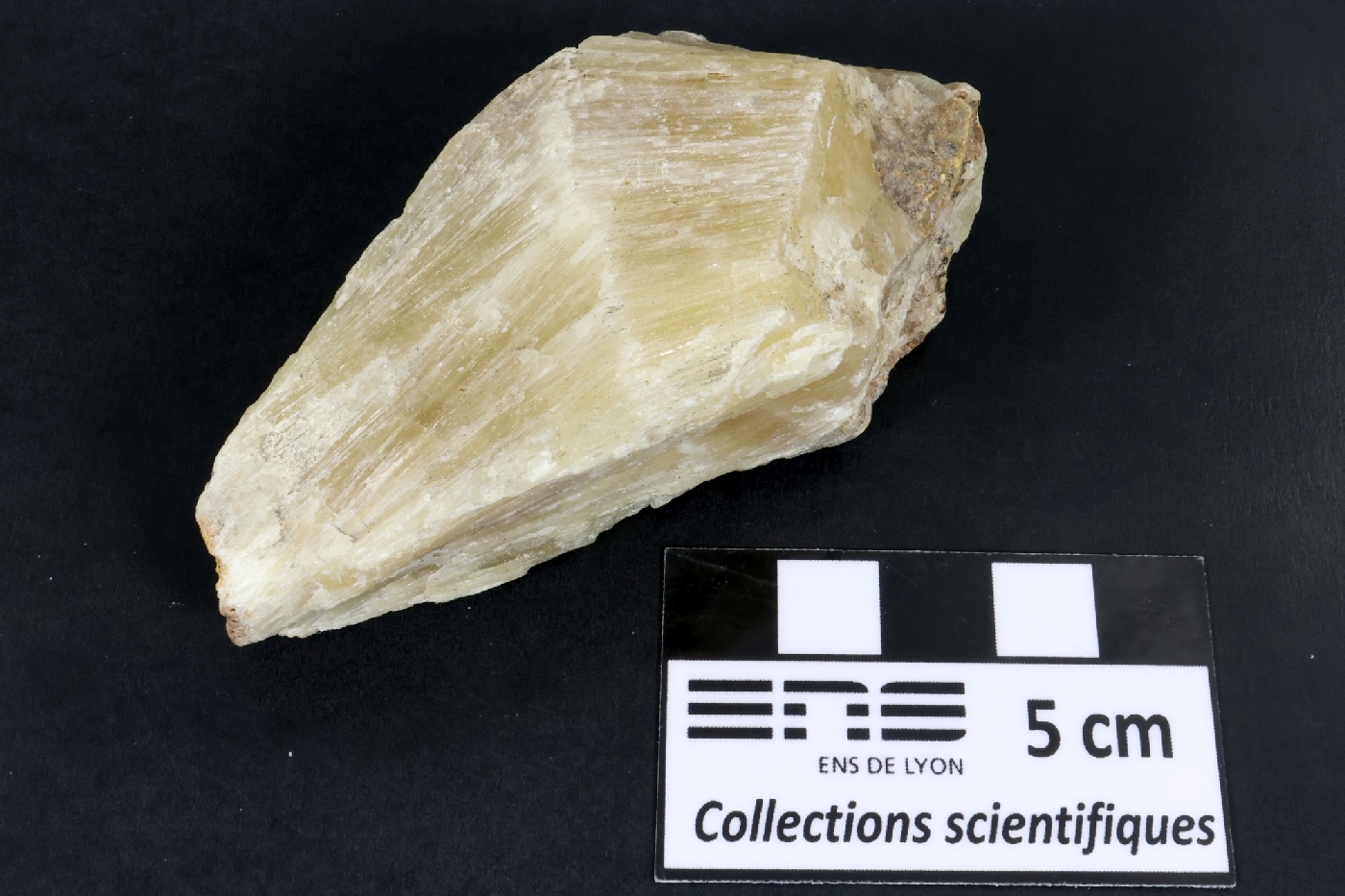Aragonite Aragonite