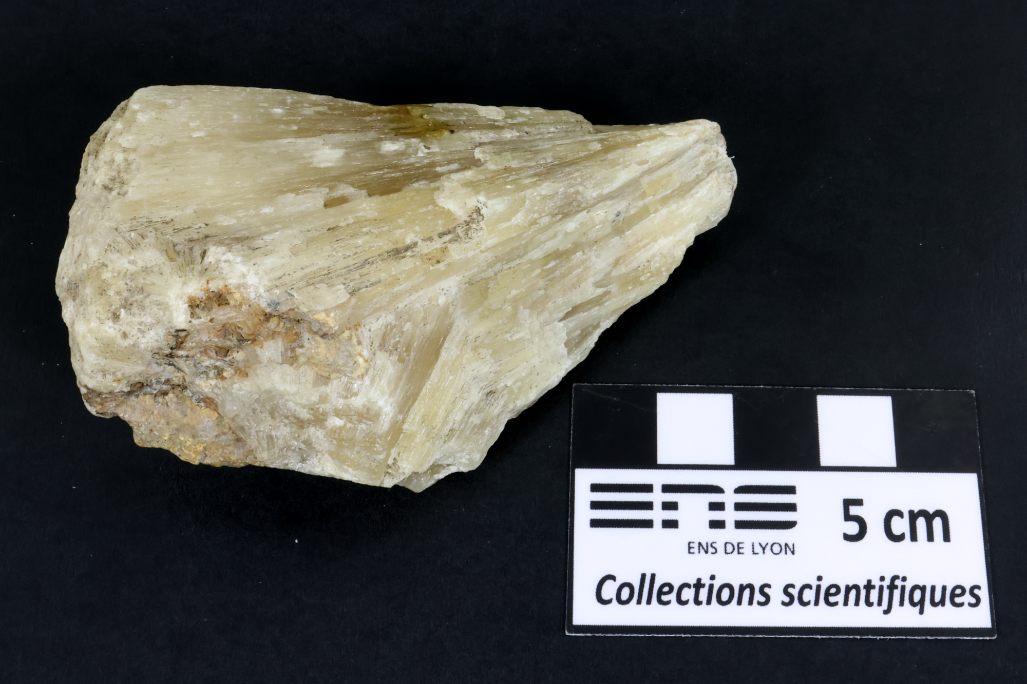 Aragonite Aragonite    