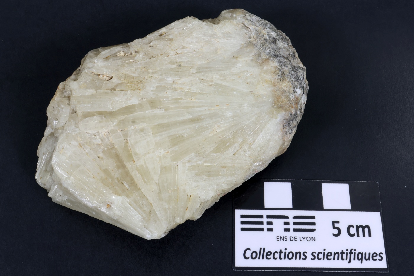 Aragonite Aragonite