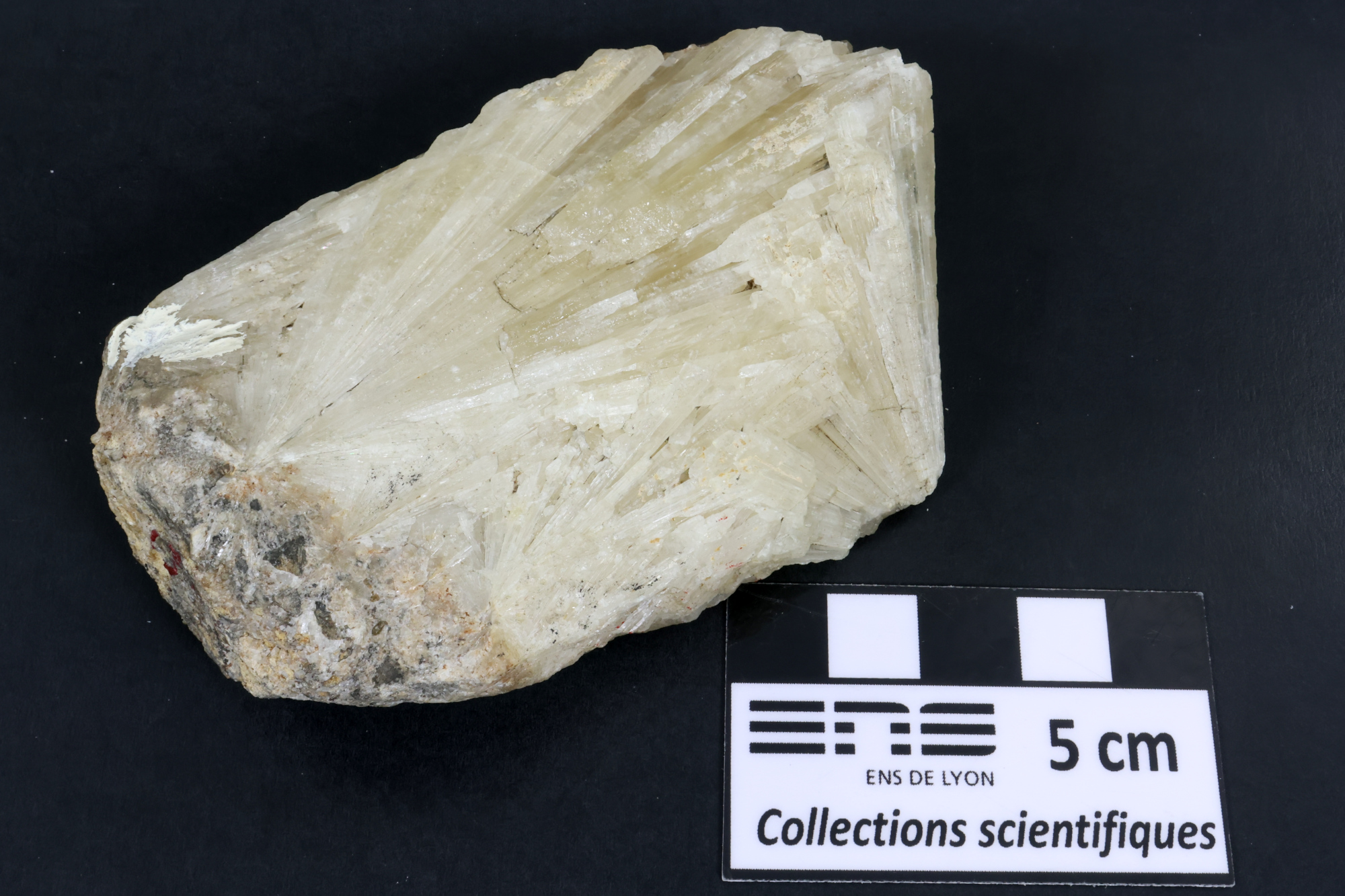 Aragonite Aragonite    