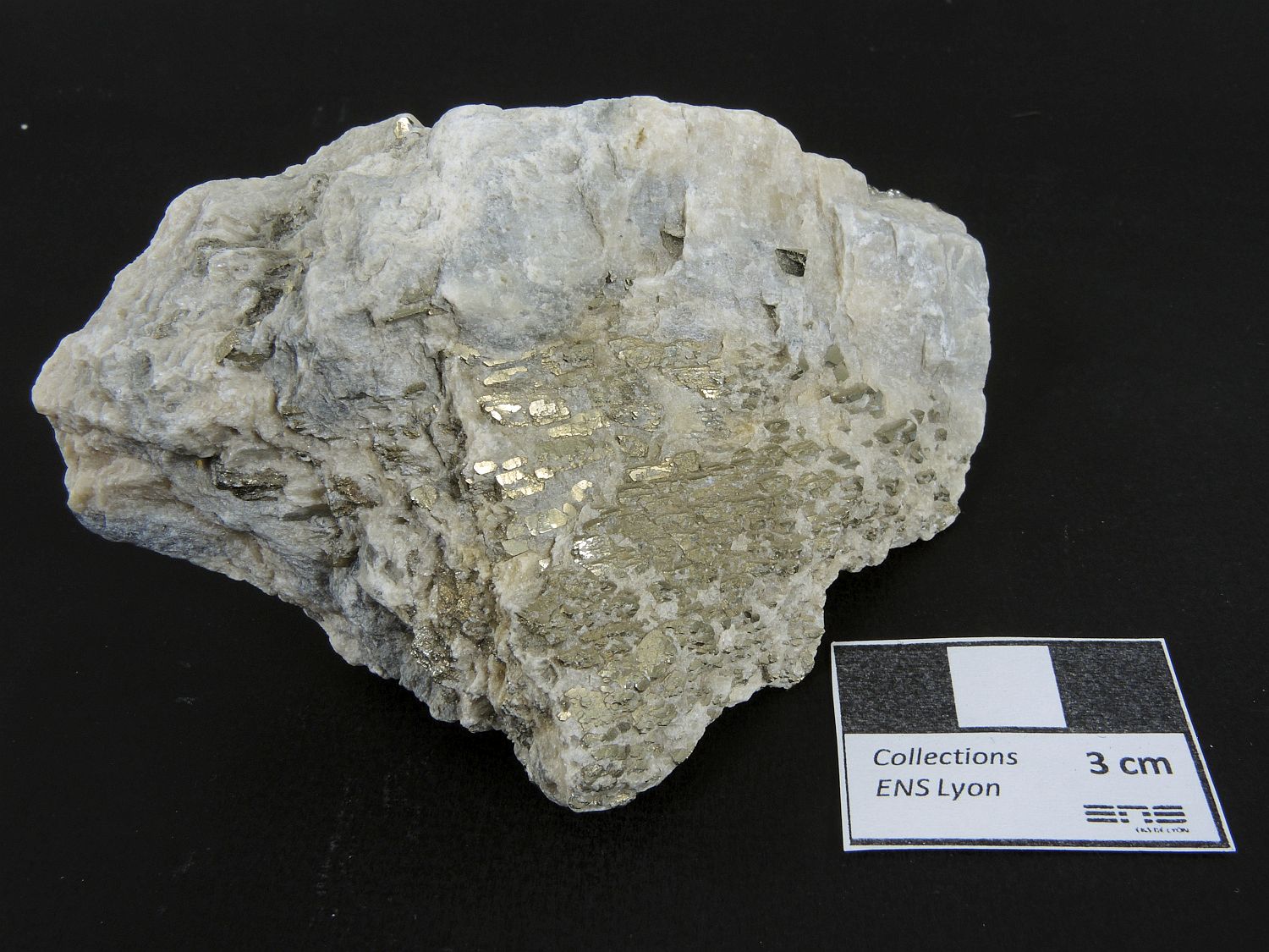 Pyrite et talc Cristaux de pyrite déformés dans du talc Pyrénées Montagne de Tabe Luzenac Carrière de talc
