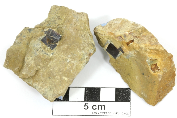 Pyrite Pyrite dans calcaire    