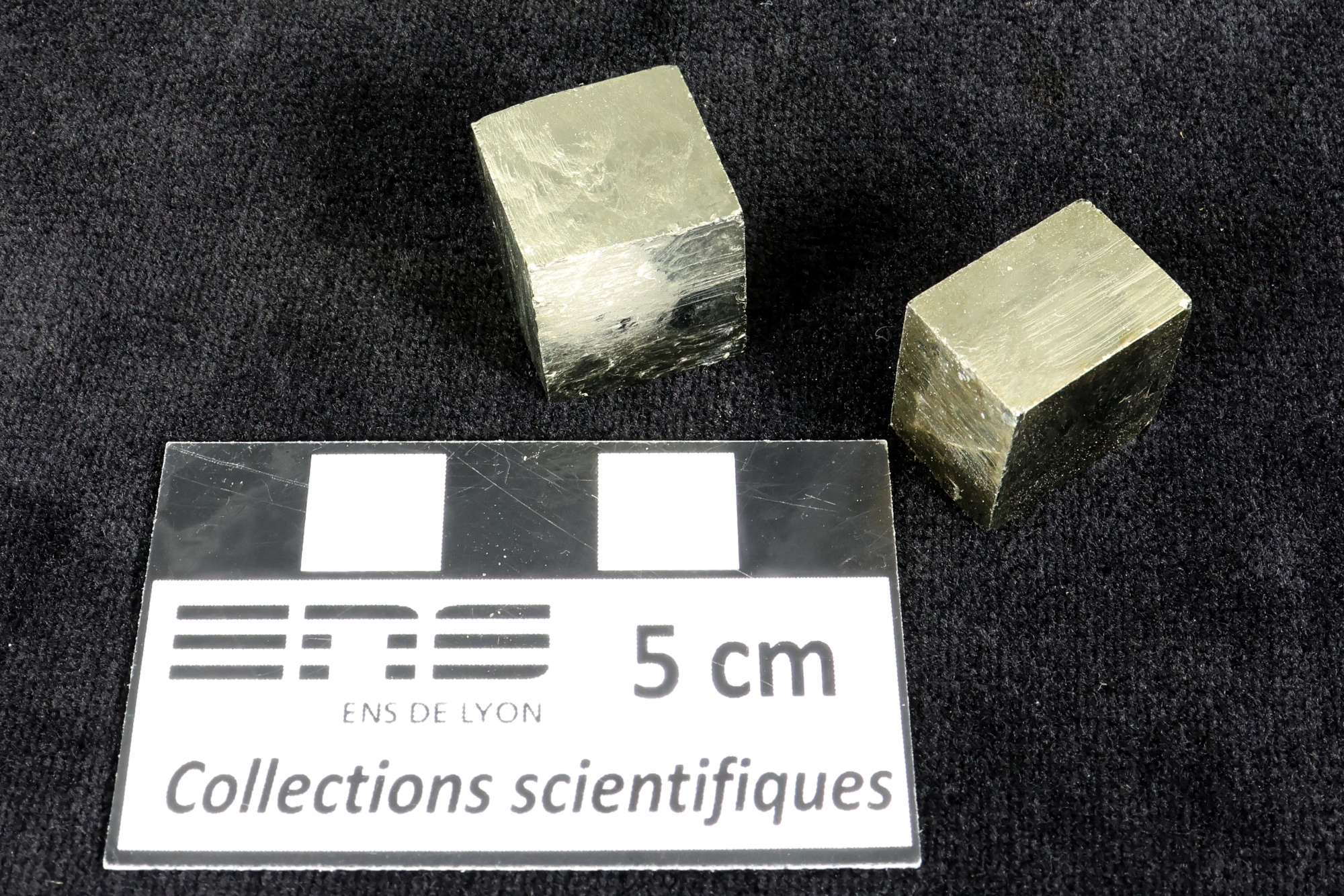 Pyrite Cristaux cubiques de pyrite    