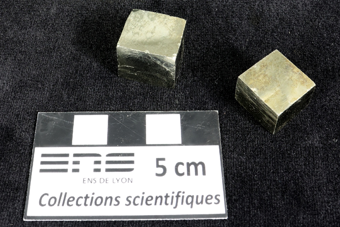Pyrite Cristaux cubiques de pyrite