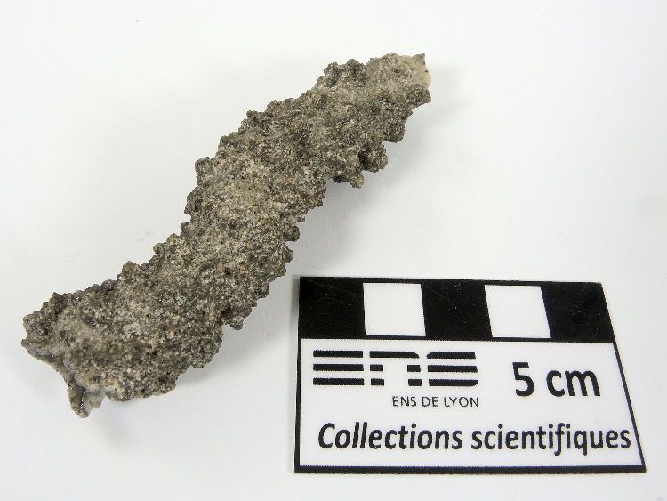 Fulgurite Fulgurite    
