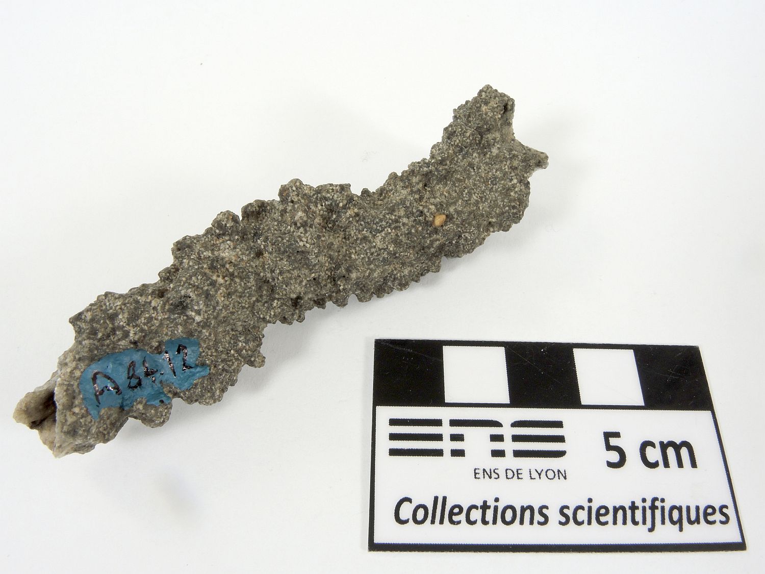 Fulgurite Fulgurite    