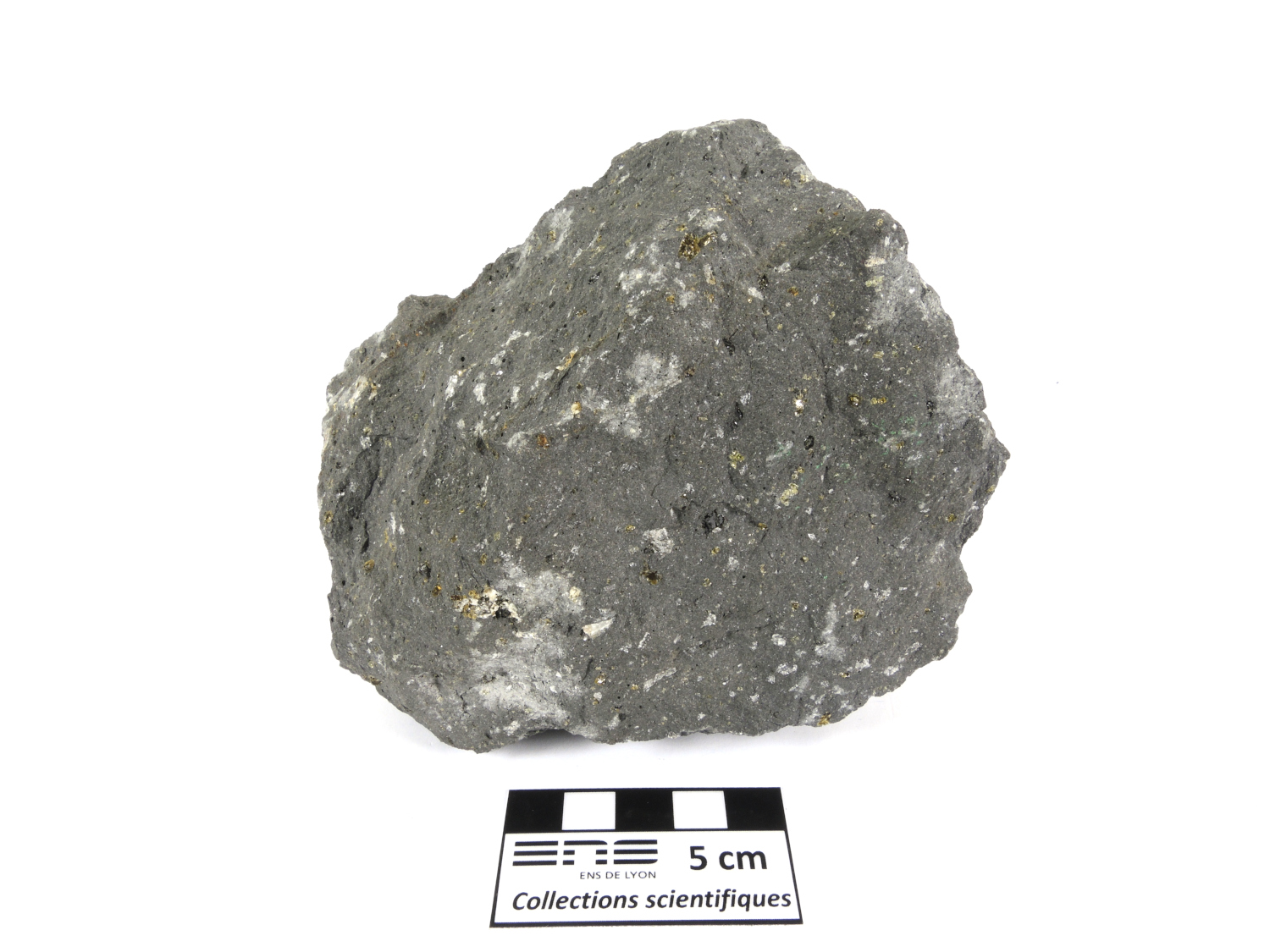 Basalte porphyrique Basalte à olivine et pyroxène du Laki Islande Laki  