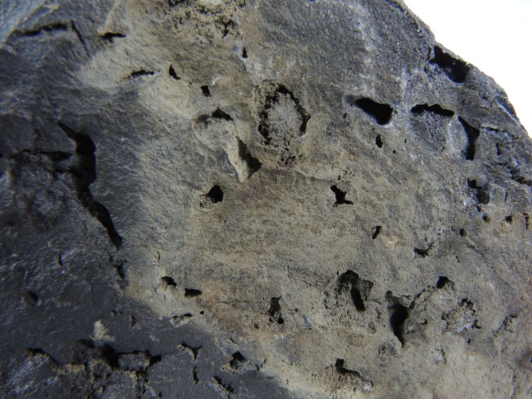 Basalte Basalte vacuolaire du Laki Islande Laki  