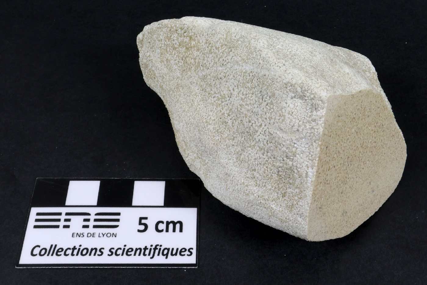 Oolithe Calcaire oolithique Jura  Labalme Le Fond du Méant