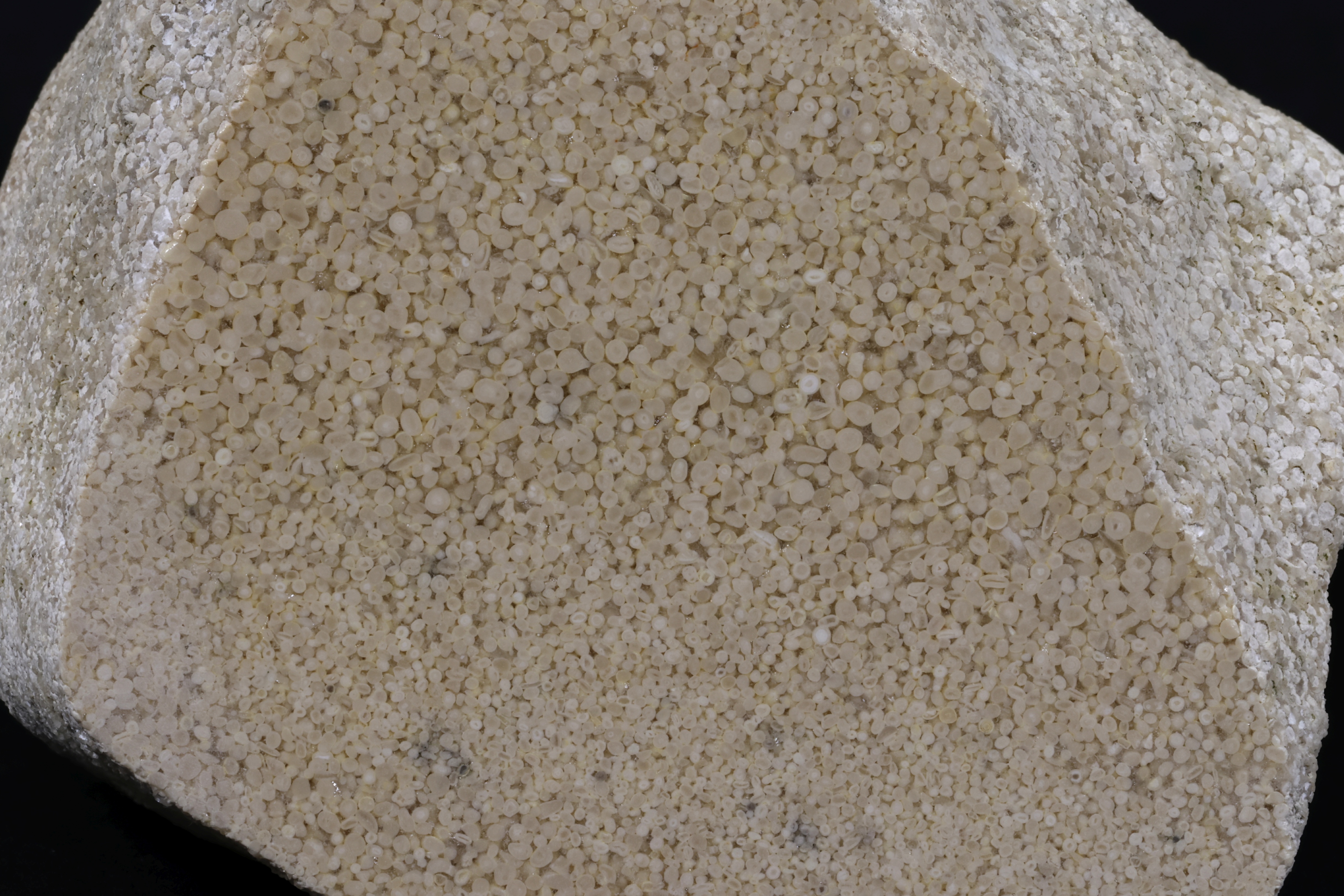 Oolithe Calcaire oolithique Jura  Labalme Le Fond du Méant