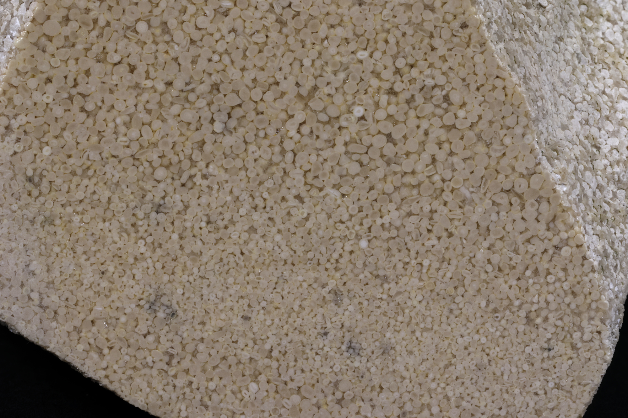 Oolithe Calcaire oolithique Jura  Labalme Le Fond du Méant