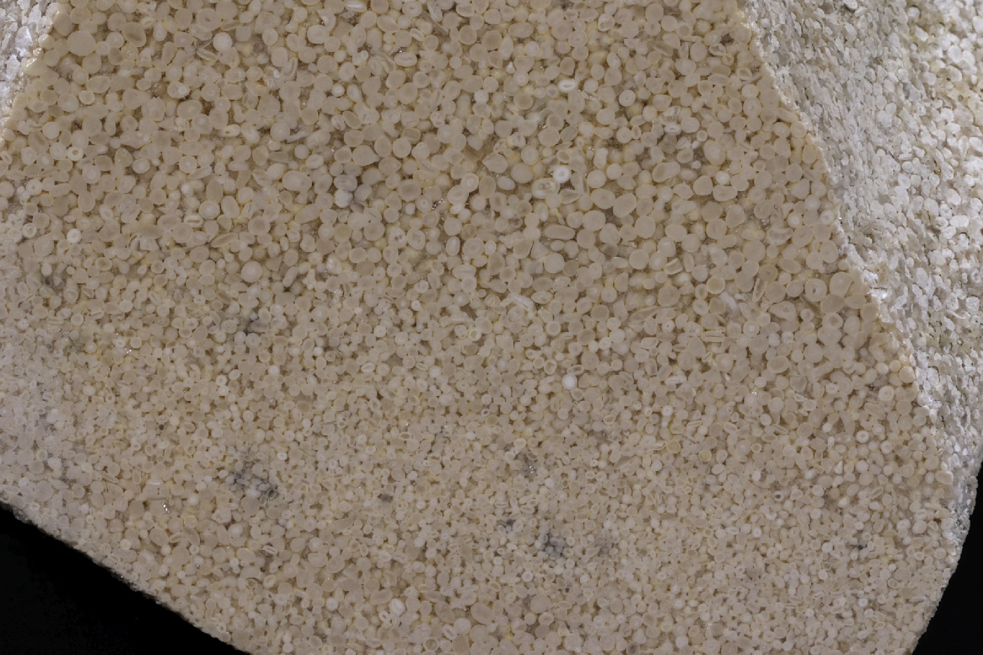 Oolithe Calcaire oolithique Jura  Labalme Le Fond du Méant