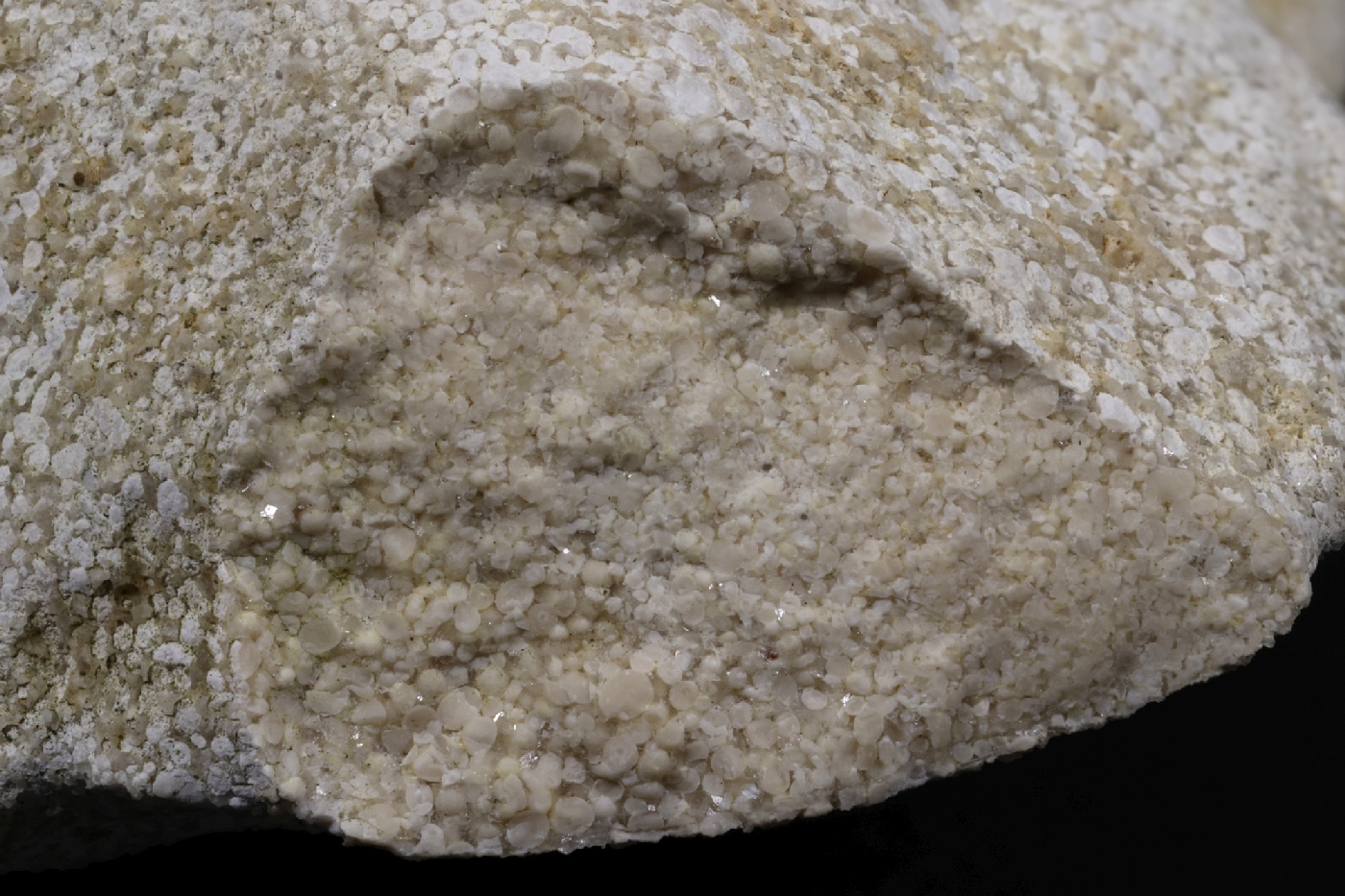 Oolithe Calcaire oolithique Jura  Labalme Le Fond du Méant