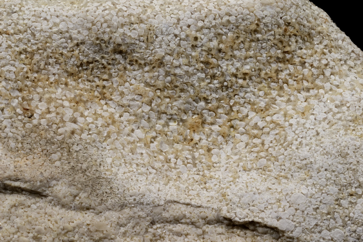 Oolithe Calcaire oolithique Jura  Labalme Le Fond du Méant