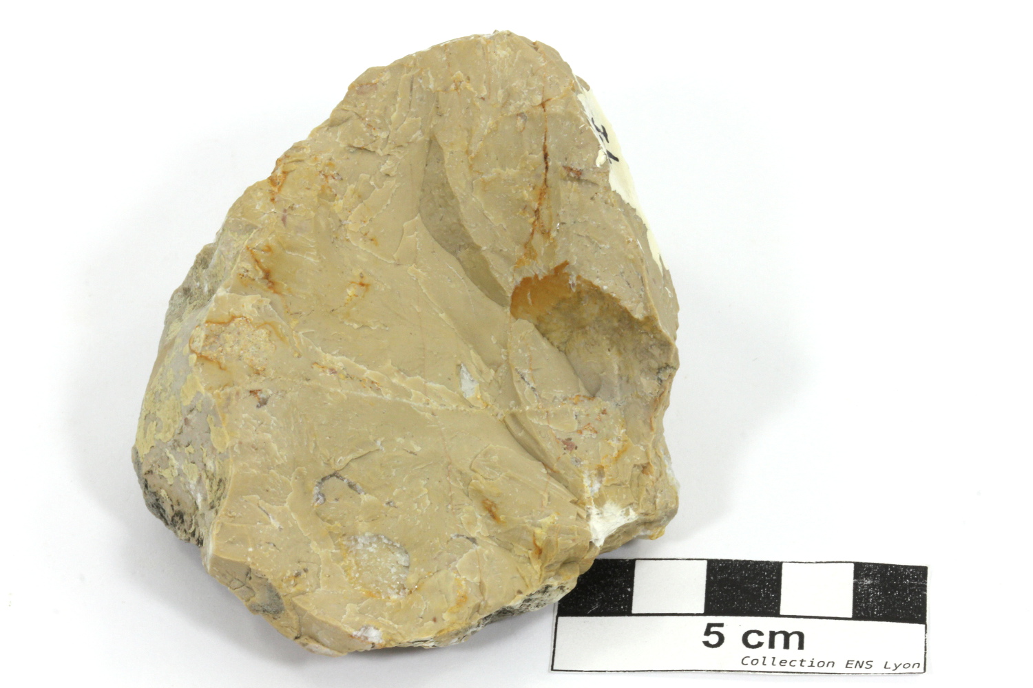 Calcaire micritique Micrite Jura  Besancon Anticlinal de la citadelle de Besancon
