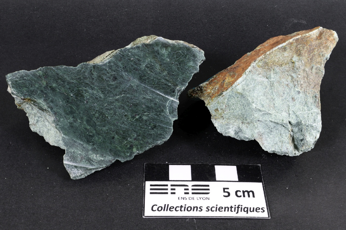 Serpentinite Serpentinite de l’unité de Bois-de-Céné Massif armoricain Unité de Bois-de-Céné Paulx La Brosse