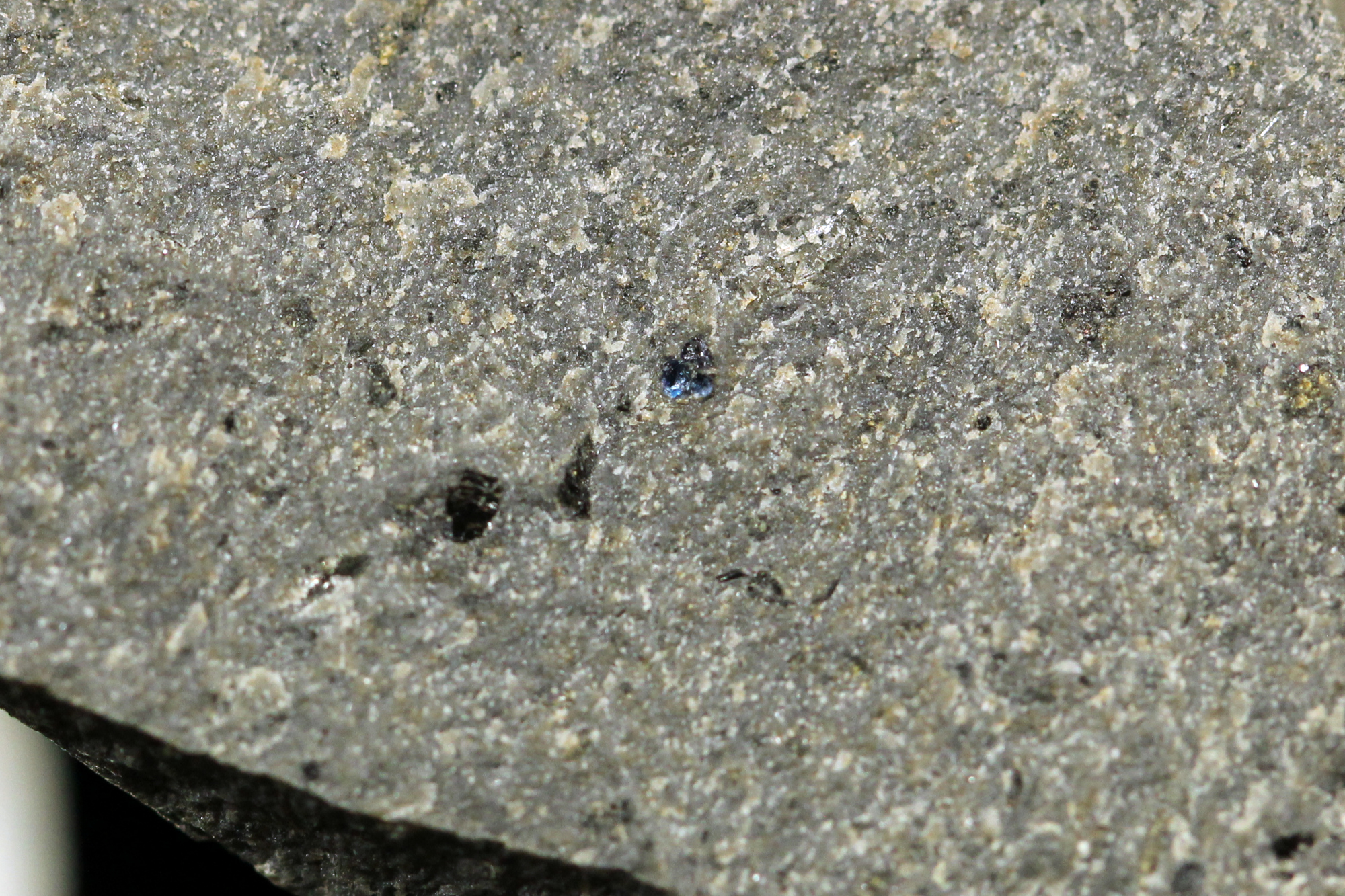 Téphrite à haüyne Ordanchite Massif central Mont Dore Orcival 