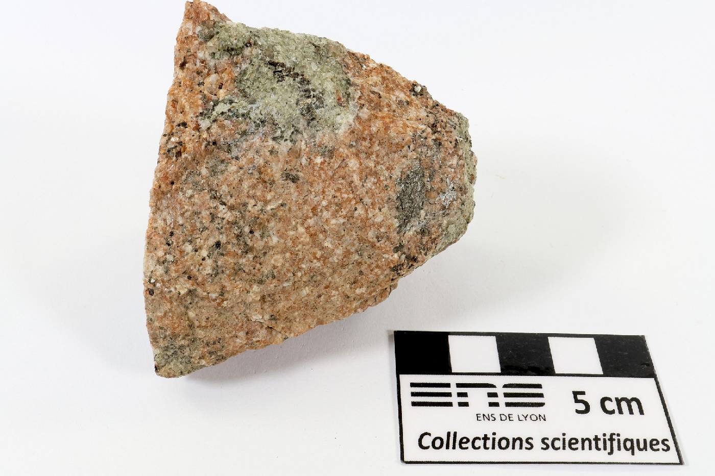 Migmatite à cordiérite Migmatite à cordiérite Massif central Velay Borée