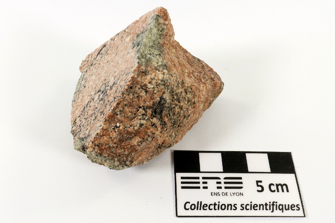 Migmatite à cordiérite Migmatite à cordiérite Massif central Velay Borée