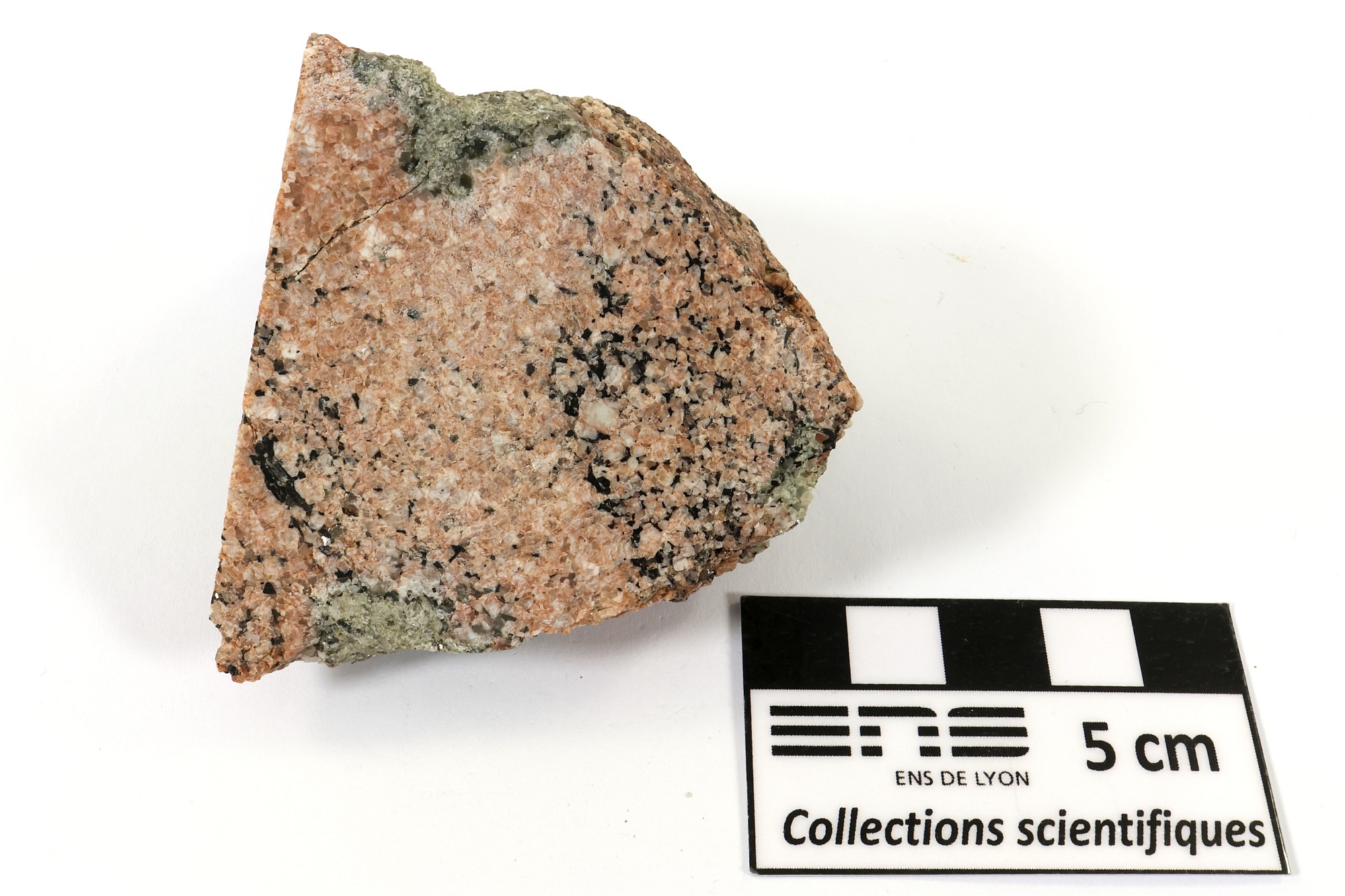 Migmatite à cordiérite Migmatite à cordiérite Massif central Velay Borée 