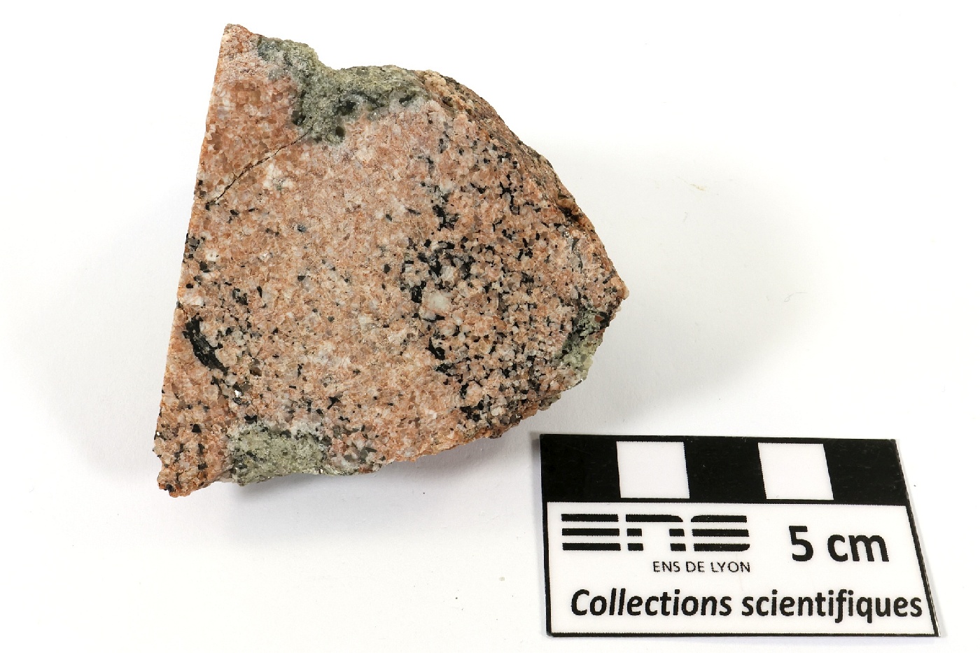 Migmatite à cordiérite Migmatite à cordiérite Massif central Velay Borée
