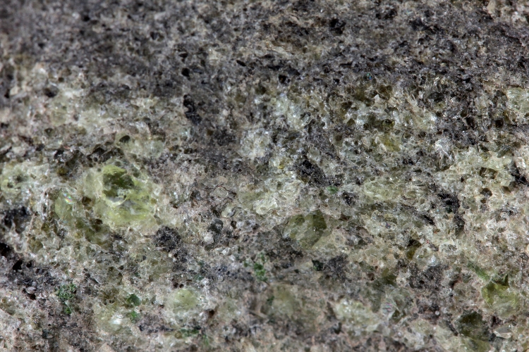 Lherzolite litée à amphibole Nodule de péridotite déformée du maar de Borée Massif central Velay Borée Carrière de Molines