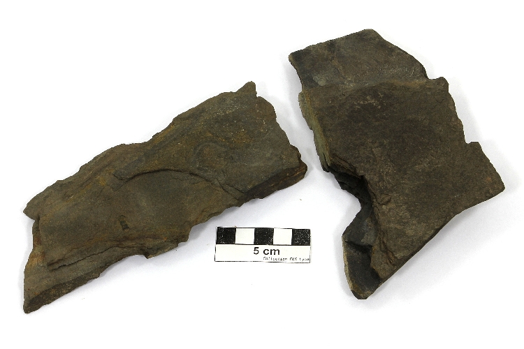 Pélite Pélite Massif central Bassin houiller de Decazeville Auzits 