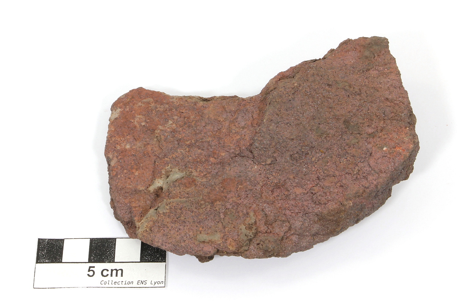 Oolithe ferrugineuse Minette de fer Massif central  Muret le chateau 