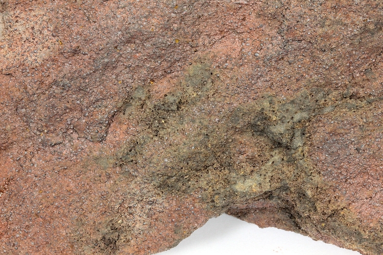 Minette de fer Calcaire à oolithes ferrugineuses Massif central  Muret le chateau 